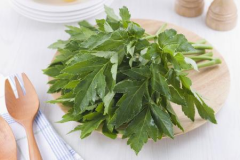 明日葉真的能治療高血壓?jiǎn)?？